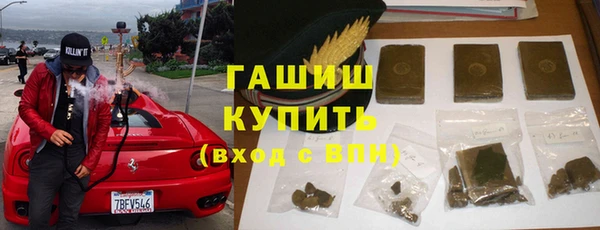 индика Богородицк